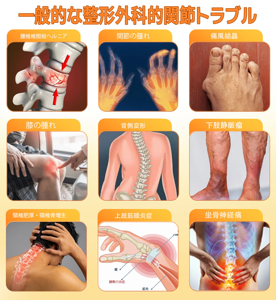 🎁 あと5箱で完売！50％OFFは今だけ！ チャンスを逃さないでください。