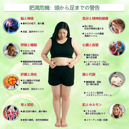 💎💎内臓脂肪対策サポート 👨‍⚕️👩‍⚕️GeeLemon®＆NAD+ 8-in-1 ナノ強化フォーミュラ — 肥満、肌のたるみ、糖尿病、睡眠時無呼吸症候群、関節の悩み、その他健康上の懸念にアプローチ🛍️