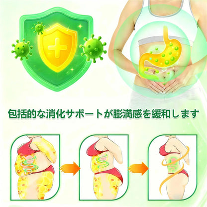 💎💎内臓脂肪対策サポート 👨‍⚕️👩‍⚕️GeeLemon®＆NAD+ 8-in-1 ナノ強化フォーミュラ — 肥満、肌のたるみ、糖尿病、睡眠時無呼吸症候群、関節の悩み、その他健康上の懸念にアプローチ🛍️